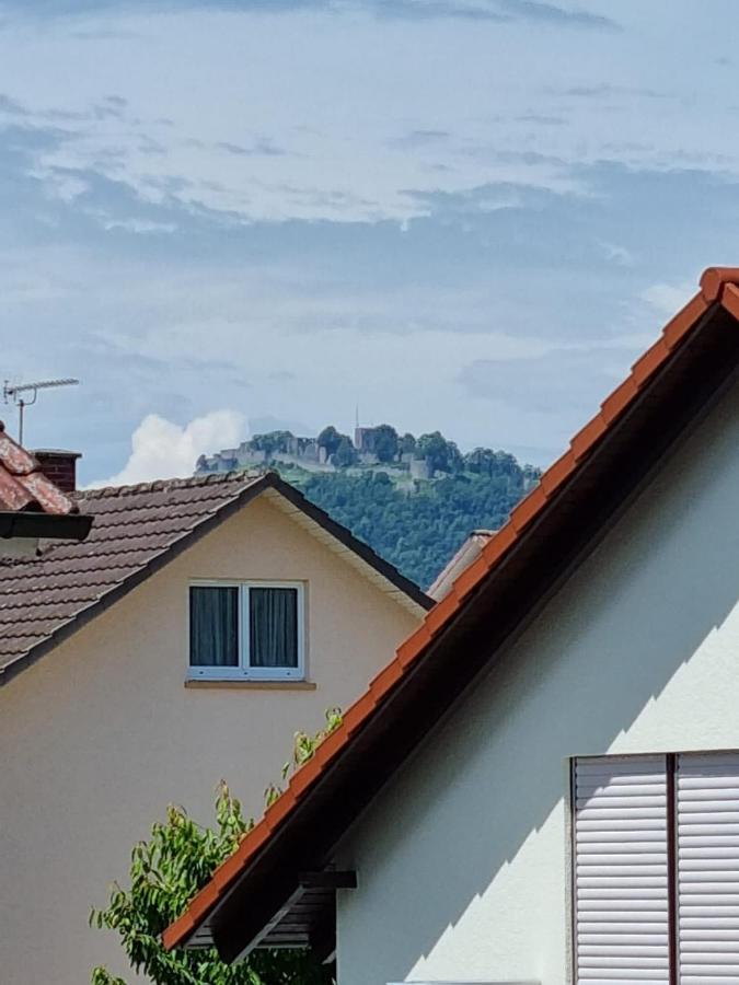Elviras Apartment Singen Pokoj fotografie